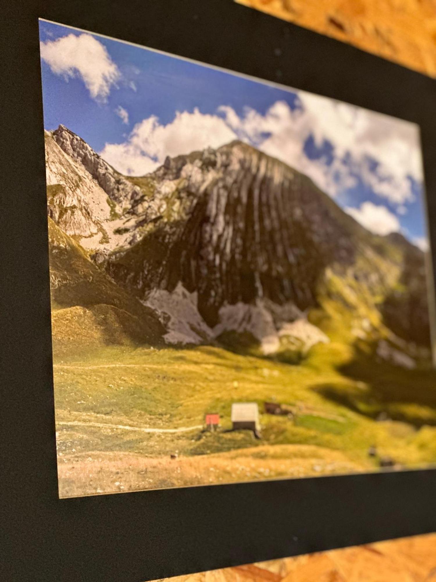 Durmitor Bungalows Žabljak Exteriör bild
