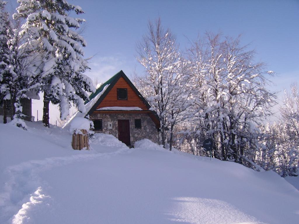 Durmitor Bungalows Žabljak Exteriör bild